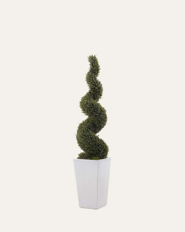 White Rosemary in Ceramic Pot